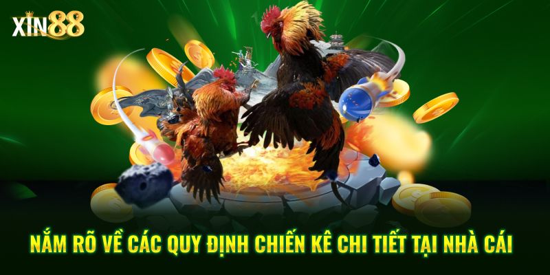 đá gà cựa dao 3