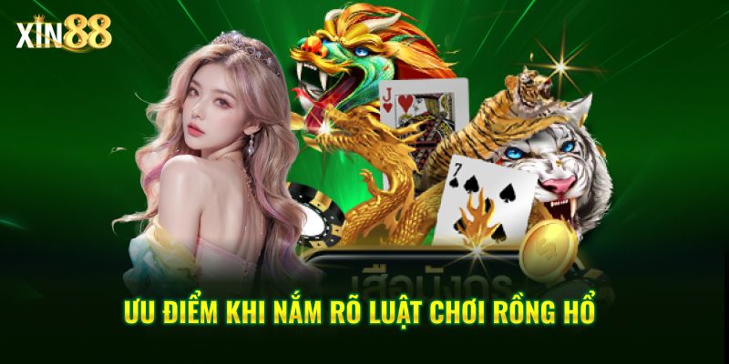 luật chơi rồng hổ 4