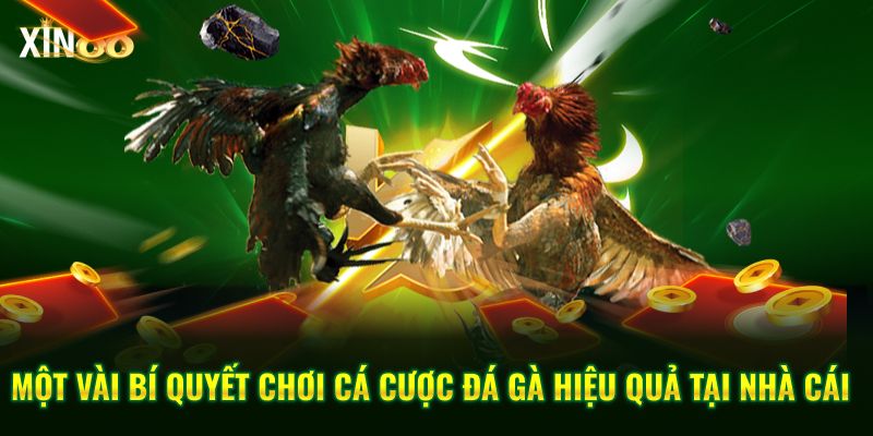 các loại vảy đá quý 4